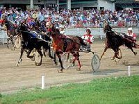 Gloucester Park Harness Racing | East Perth WA