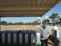 Greyhound Northam Raceways | Western Australia