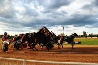 Tabcorp Menangle Park Racetrack | Glebe Australia