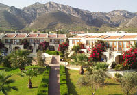 Olive Tree Resort Casino - Cyprus