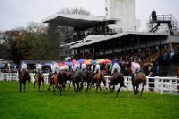 Plumpton Horse Racecourse | England