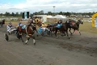 Darling Downs Harness Racetrack | Queensland Australia