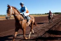 Broome Turf Club Horse Racing | Western Australia