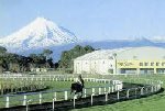 Horse racing in New Zealand