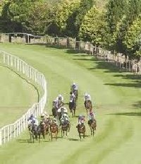 Clonmel Horse Racecourse | Munster Ireland
