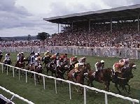 Curragh Horse Racecourse | Leinster Ireland