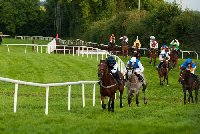 Kilbeggan Horse Racecourse | Leinster Ireland