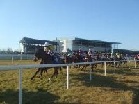 Naas Horse Racecourse | Leinster Ireland