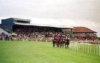 Navan Horse Racecourse | Leinster Ireland