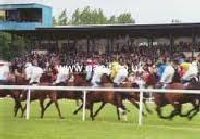 Tipperary Horse Racecourse | Limerick Ireland