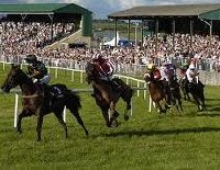 Waterford Tramore Racecourse | Ireland