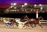 Meadows Racetrack Casino | Meadow Land Pennsylvania