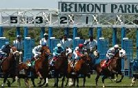 Belmont Park Racetrack | Elmont New York